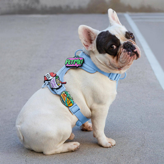 Peeing Outdoors Jiby Dog Charm