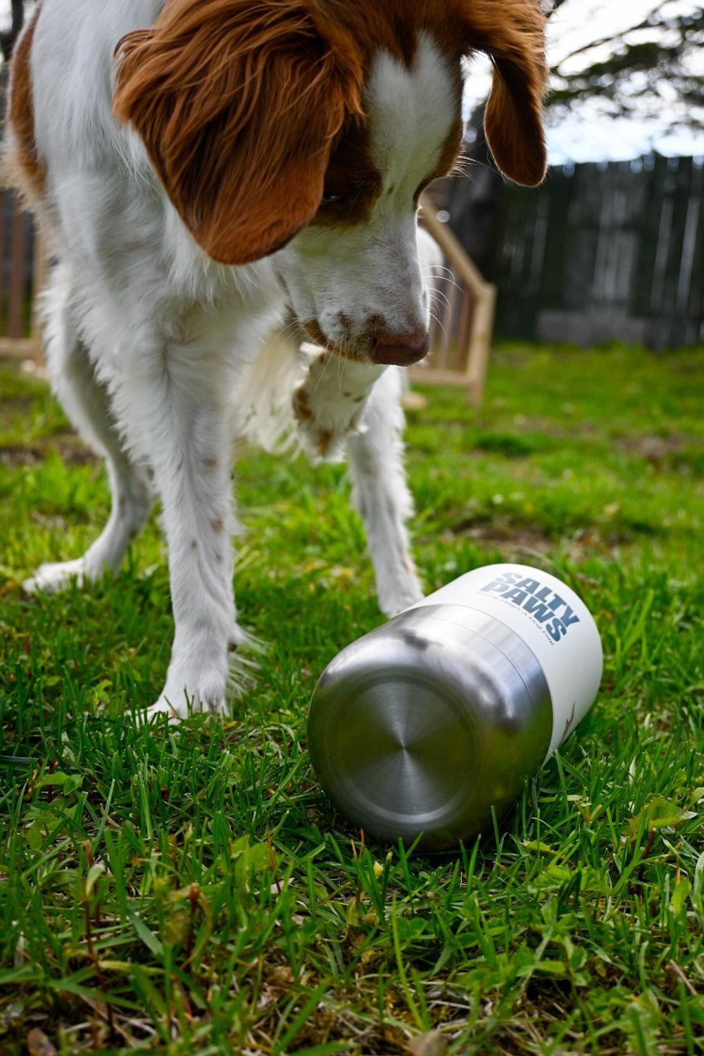 The Bowl Bottle | 3-in-1 Travel Bottle