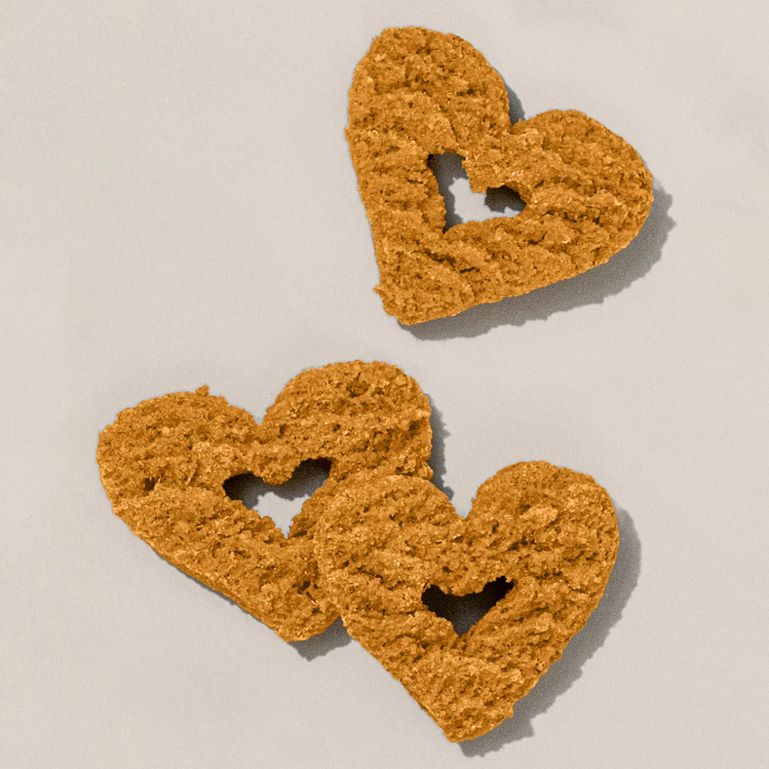 Gogama Dog Treats - PB Jubilee (PB + Pumpkin)