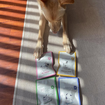 Gogama Dog Treats - PB Jubilee (PB + Pumpkin)