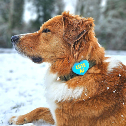 Cute AF Blue Jiby Dog Charm