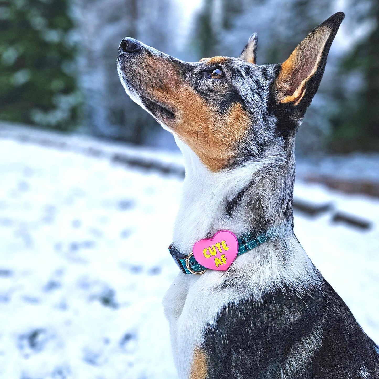 Cute AF Pink Jiby Dog Charm