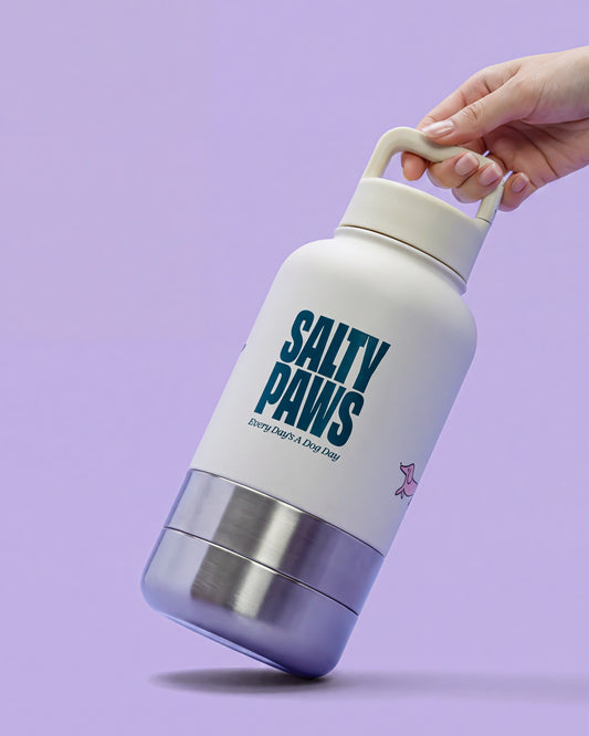 The Bowl Bottle | 3-in-1 Travel Bottle