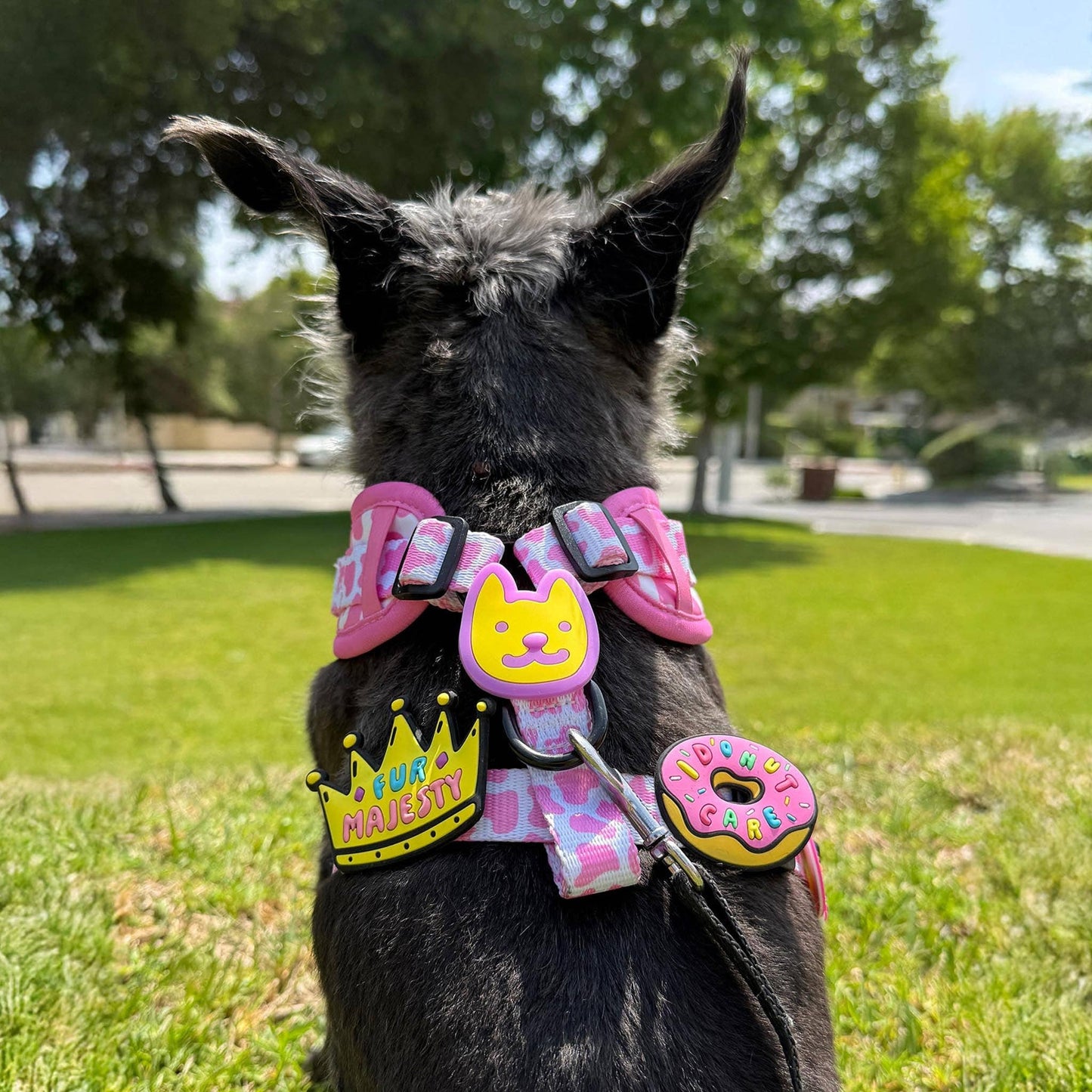 I Donut Care Pink Jiby Dog Charm