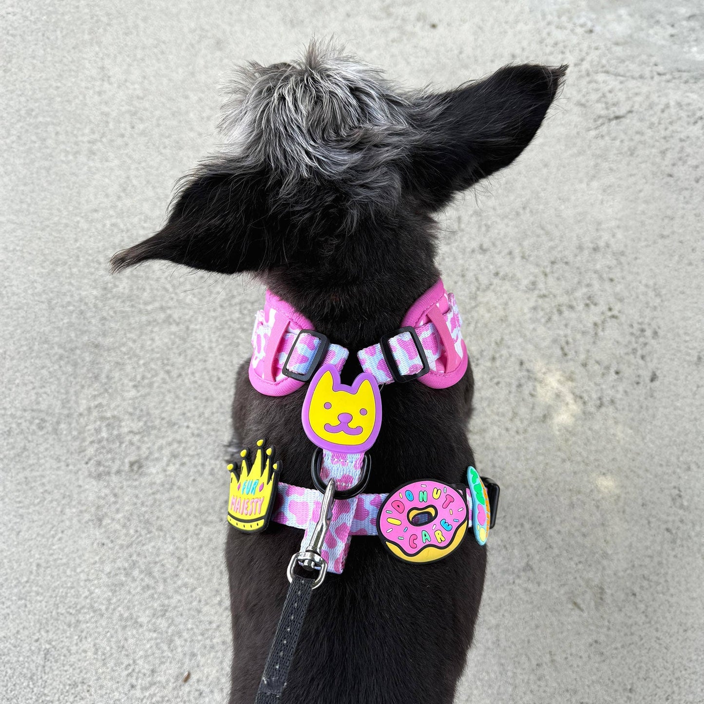 I Donut Care Pink Jiby Dog Charm