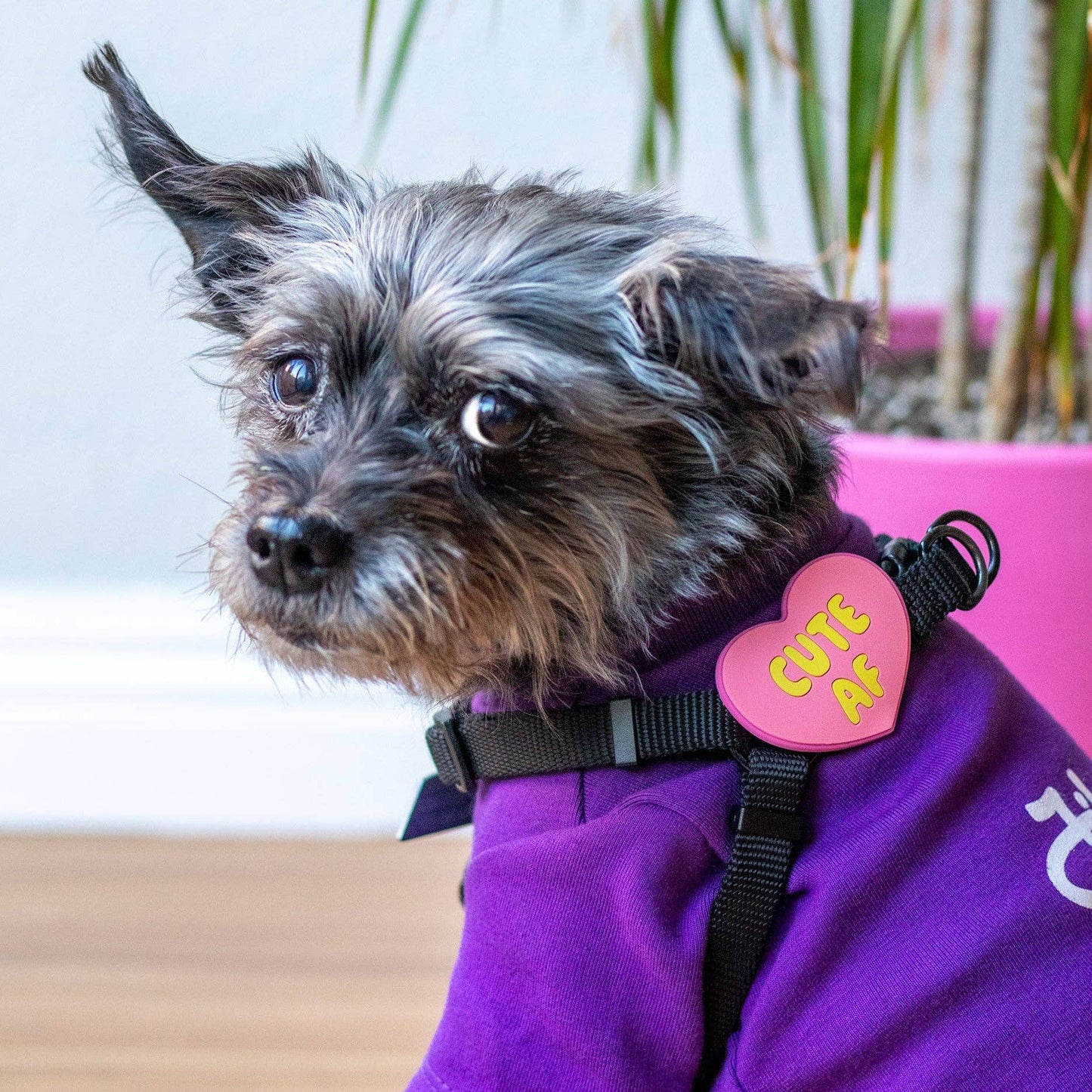 Cute AF Pink Jiby Dog Charm