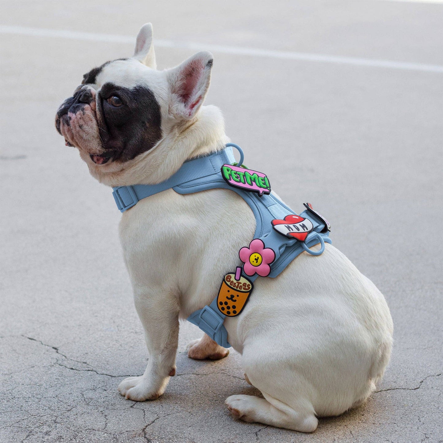 Boba Milk Tea Jiby Dog Charm
