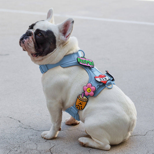 Boba Milk Tea Jiby Dog Charm